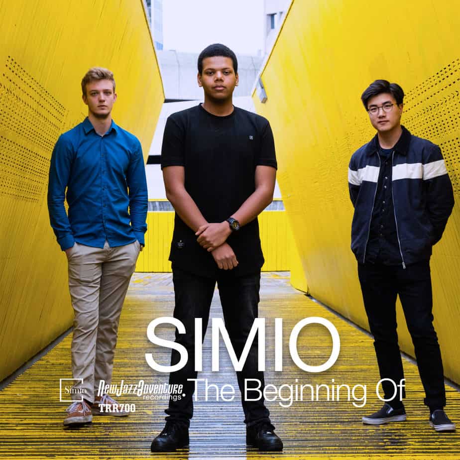 Simio - The Beginning Of