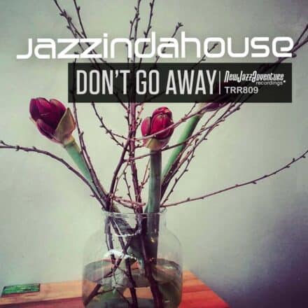 Jazzindahouse - Don't go away