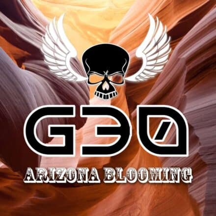 G30 - Arizona Blooming